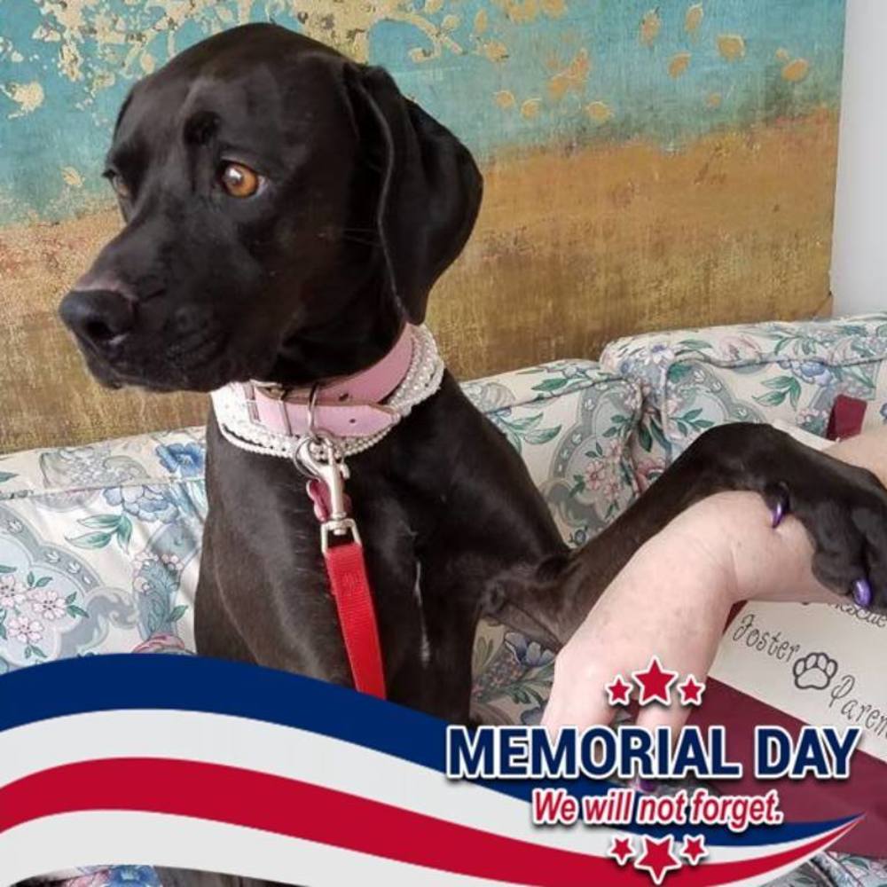 Meet your Posher, Marie